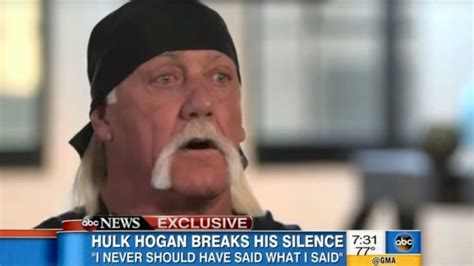 brooke hogan leaked|Hulk Hogan denies being racist after using the n